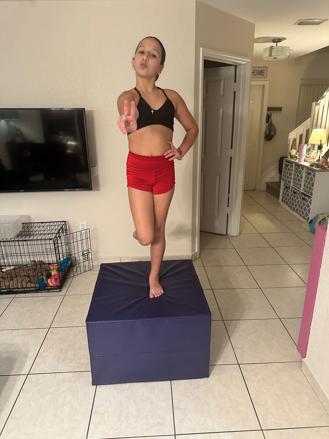 Customer photo review of Gymnastics Tumbling Cheese Wedge Mat (S/M/L)