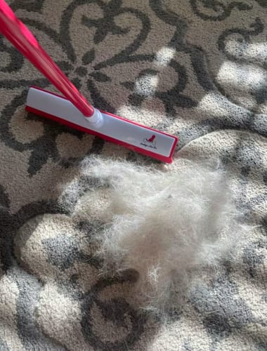 Customer photo review of IndigoPet Hair Removal Broom