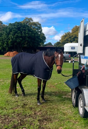 Customer photo review of Rambo Techni Waffle Cooler