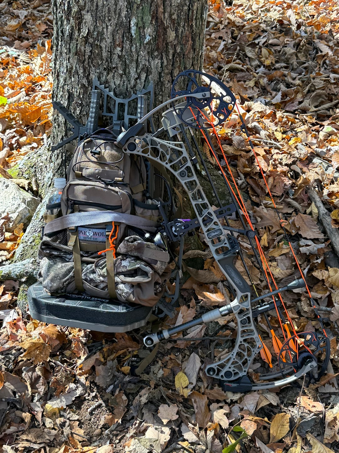 Customer photo review of Compact Double Climbing Sticks
