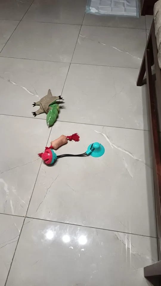 Customer photo review of Large Dog Ball Toys Suction Cup Ropes Interactive Leaking Slow Feeder Chew Toy Toothing Clean Golden Retriever Big Pet Supplies