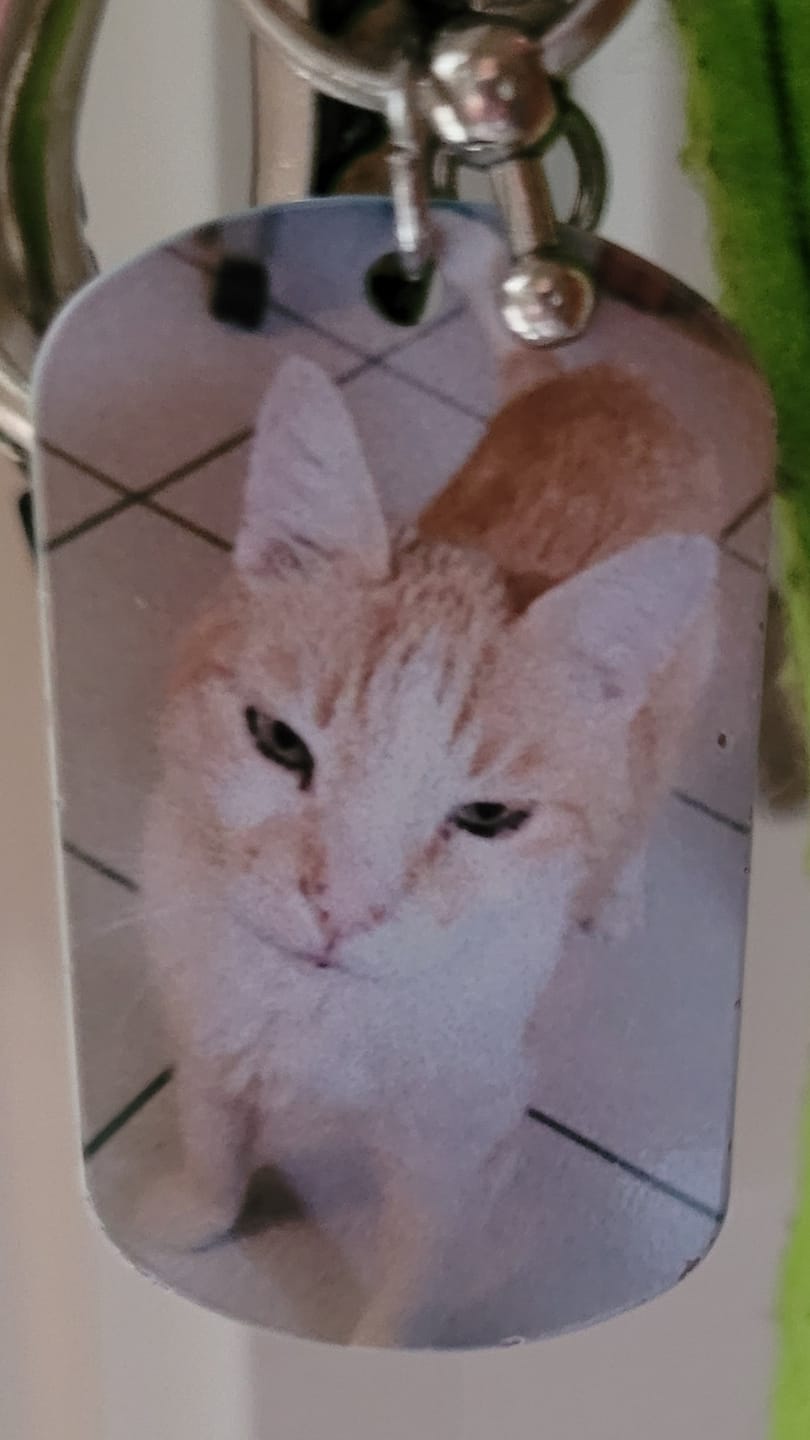 Customer photo review of Für immer im Herzen - Individueller Dog Tag Schlüsselanhänger