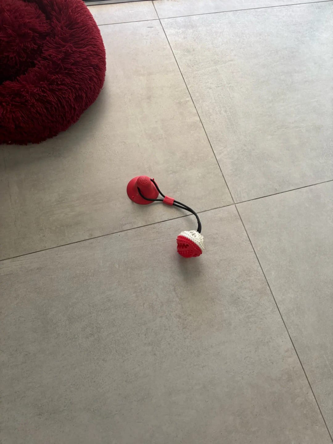 Customer photo review of Large Dog Ball Toys Suction Cup Ropes Interactive Leaking Slow Feeder Chew Toy Toothing Clean Golden Retriever Big Pet Supplies