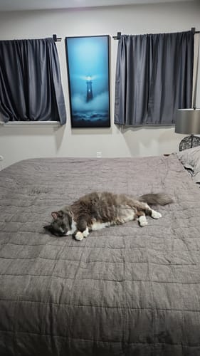 Customer photo review of Lighthouse - Ocean Beacon