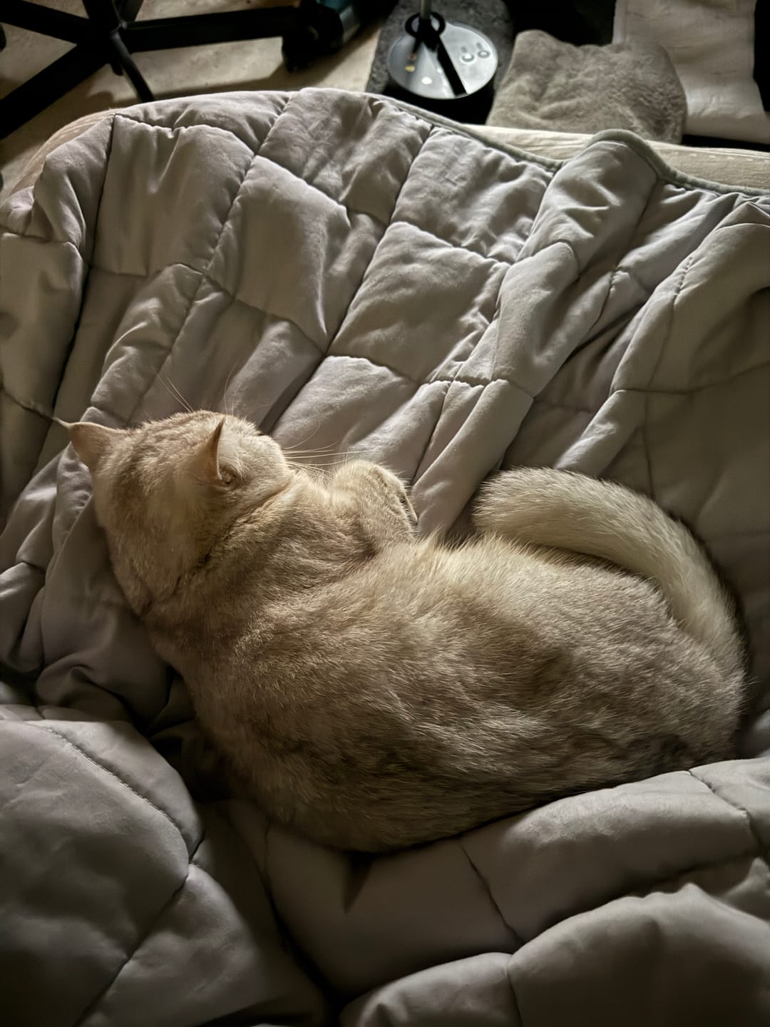 Customer photo review of Tidur Weighted Blankets