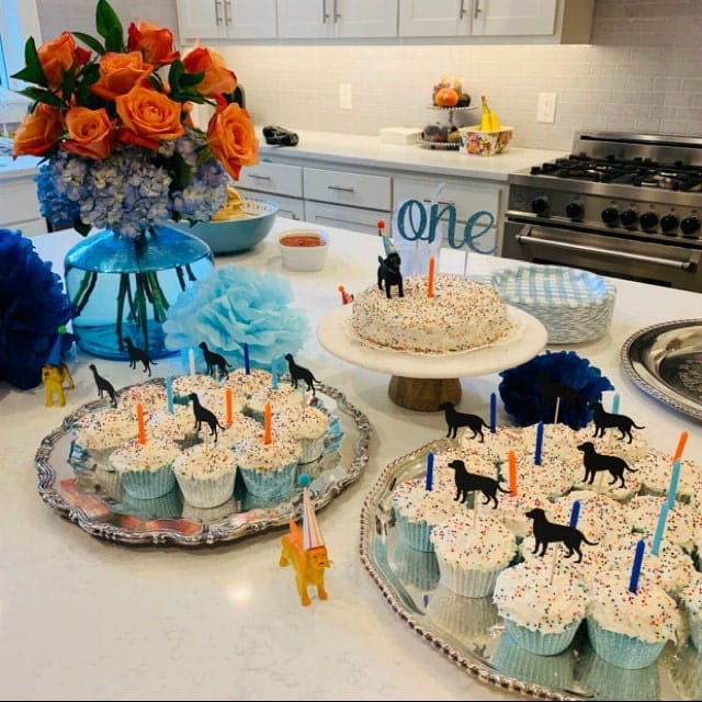 Customer photo review of Labrador Retriever Cupcake Toppers 12 Pack | 25 Dog Colors | Handmade Lab Birthday Party Decor