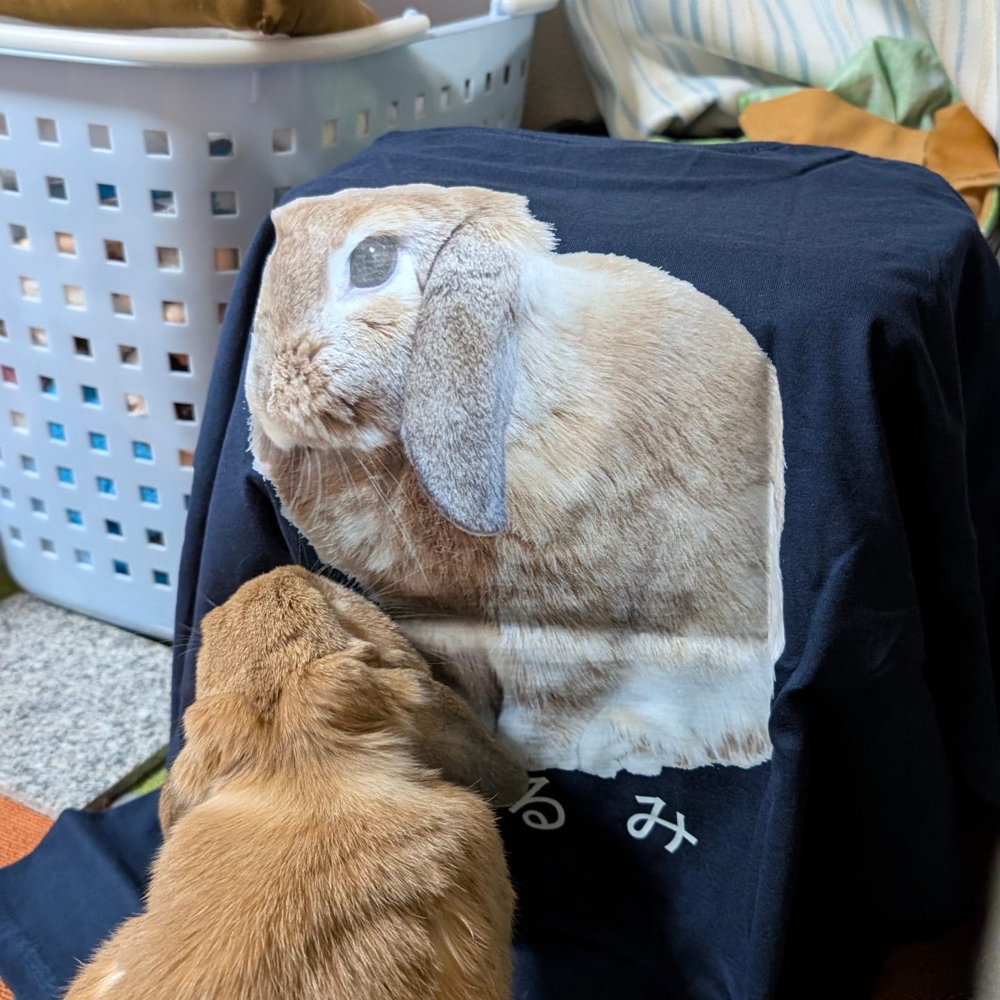 Customer photo review of 好きな写真と文字で作るオリジナルプリントTシャツ