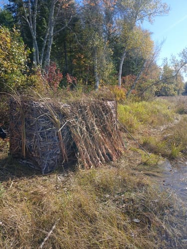 Customer photo review of Amazing Offer Tidewe Panel Blind Waterfowl Duck Hunting Blind