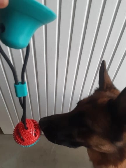 Customer photo review of Large Dog Ball Toys Suction Cup Ropes Interactive Leaking Slow Feeder Chew Toy Toothing Clean Golden Retriever Big Pet Supplies
