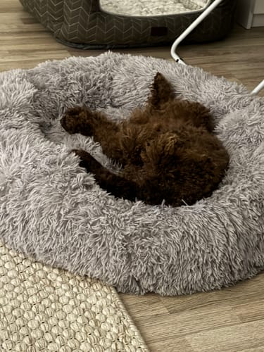 Customer photo review of CalmBed - Motverkar stress & hjälper mot ångest