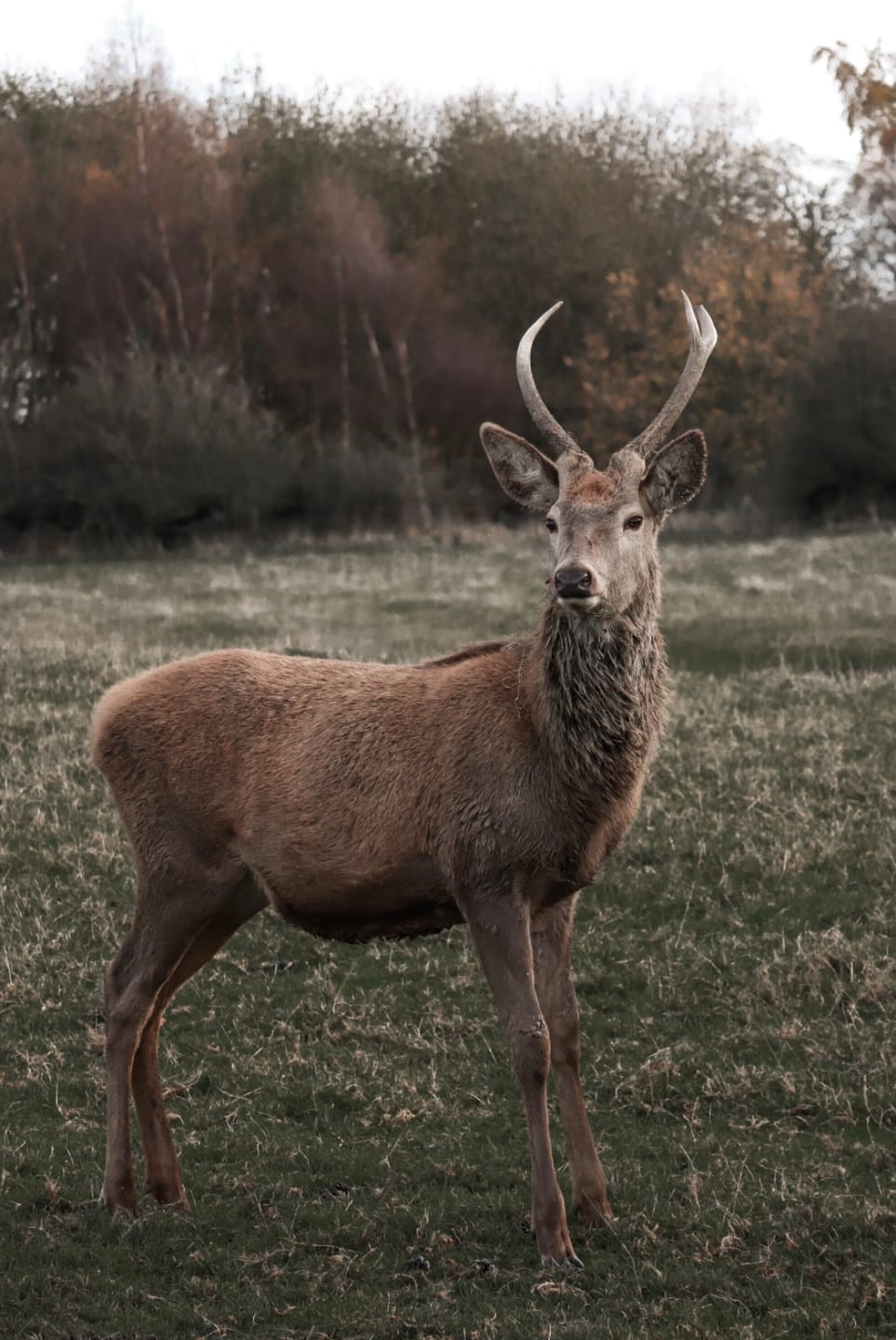 Heather F. photography
