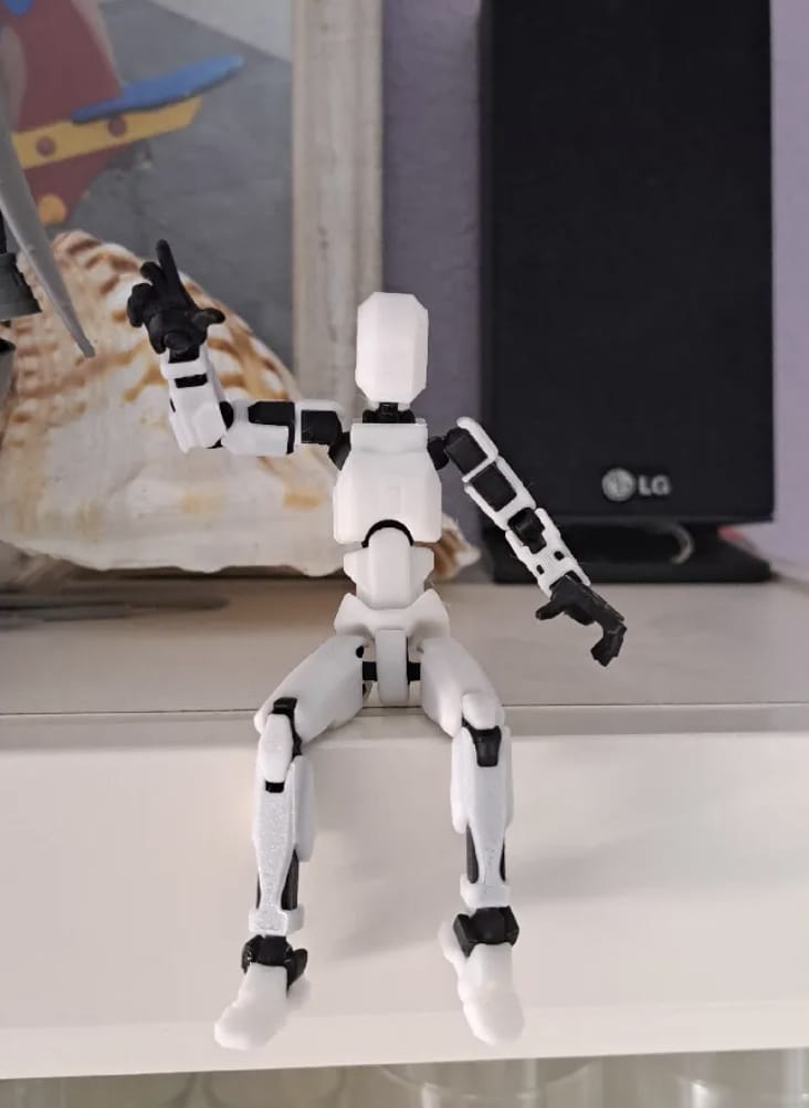 Customer photo review of Dummy 13