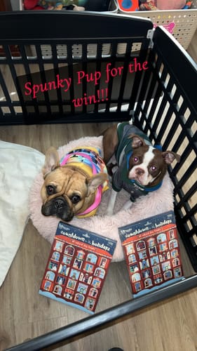 Customer photo review of Count Down to the Holidays Advent Calendar