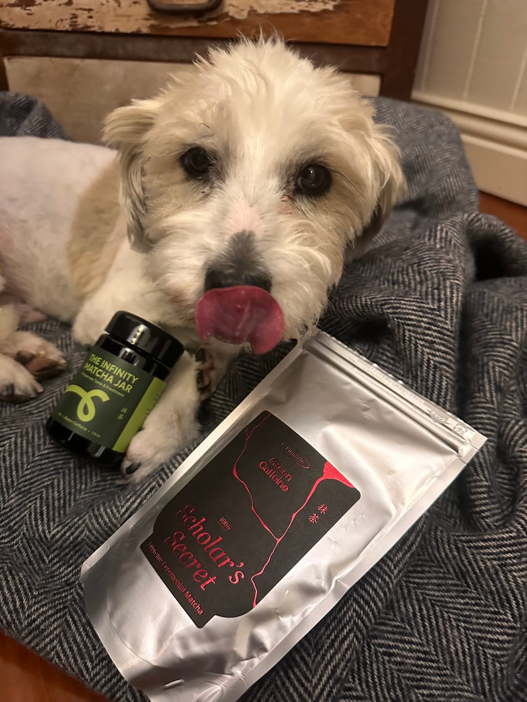 Customer photo review of Infinity Matcha Glass Jar