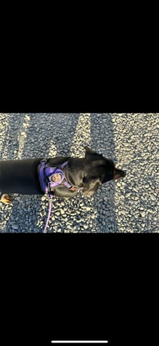 Don S. review of God Blessed The Broken Road Canvas Print Wall Art image 1 out of 5