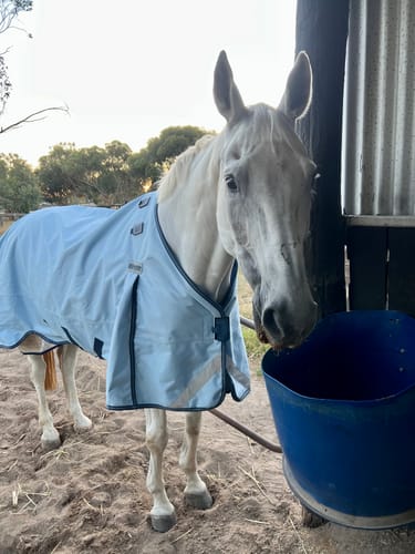 Customer photo review of LE Boxter Turnout 0g