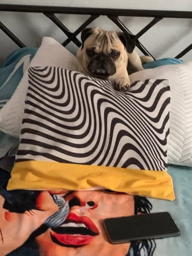 Customer photo review of Sharklas® Fluffy