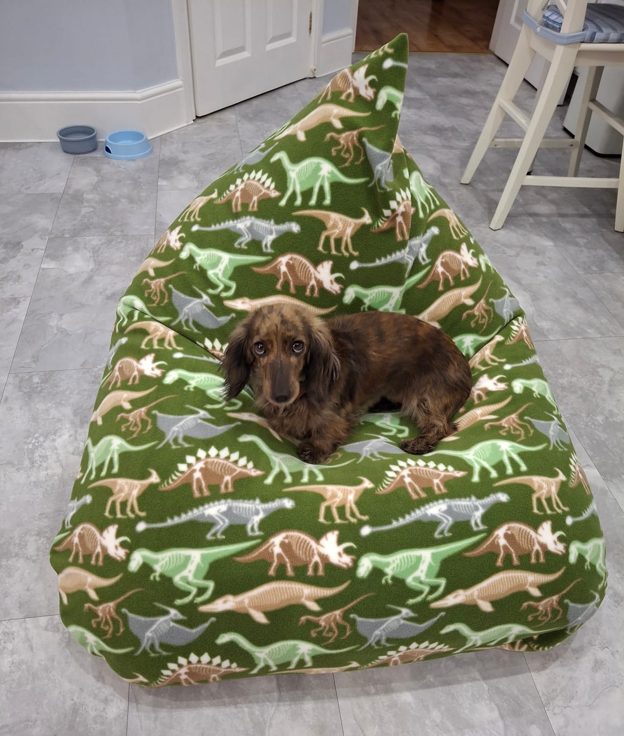 Customer photo review of Dino Skeletons on Green Anti Pill Polar Fleece Fabric