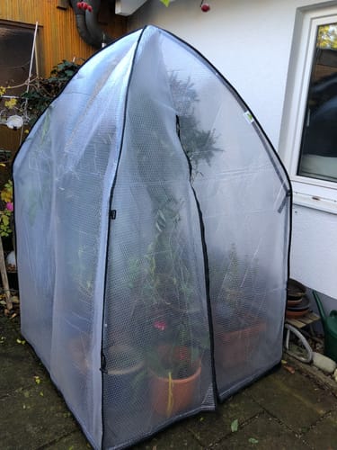 Customer photo review of Überwinterungszelt "ICEDOME ThermoPLUS" L 120 x B 120 x H 183 cm