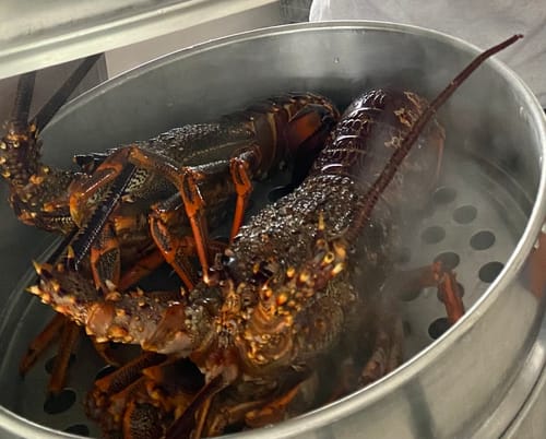Customer photo review of Live NZ Red Crayfish