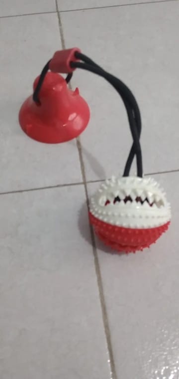 Customer photo review of Large Dog Ball Toys Suction Cup Ropes Interactive Leaking Slow Feeder Chew Toy Toothing Clean Golden Retriever Big Pet Supplies