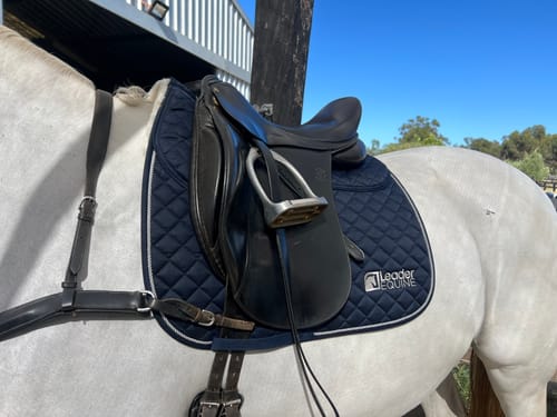 Customer photo review of LE Performance Dressage Saddle Pad with Shims