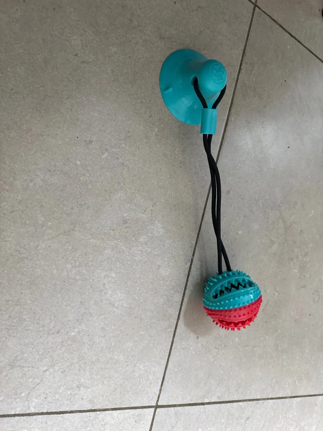 Customer photo review of Large Dog Ball Toys Suction Cup Ropes Interactive Leaking Slow Feeder Chew Toy Toothing Clean Golden Retriever Big Pet Supplies