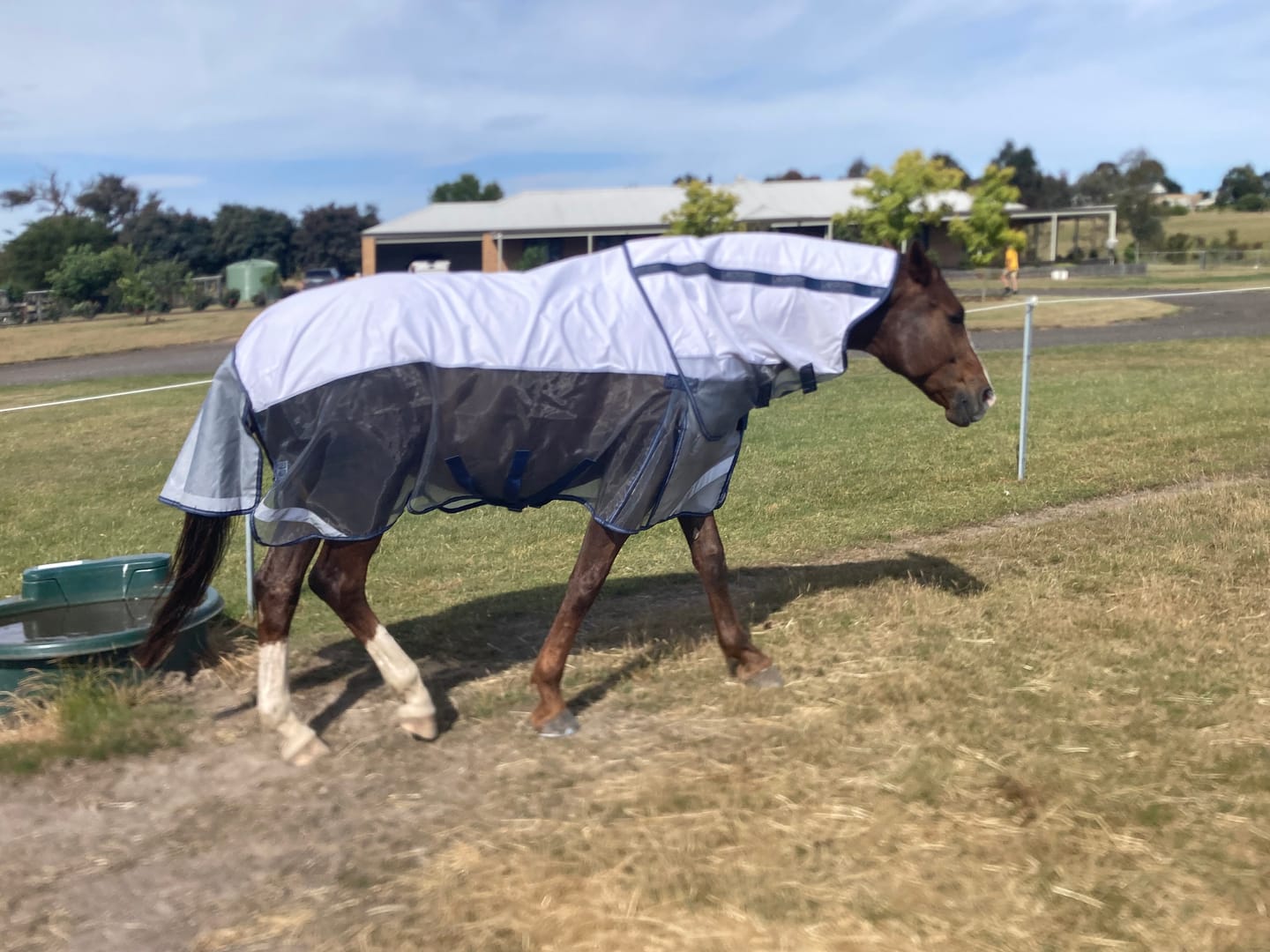 Customer photo review of LE Breeze Summer Sheet with Fieldsafe Front