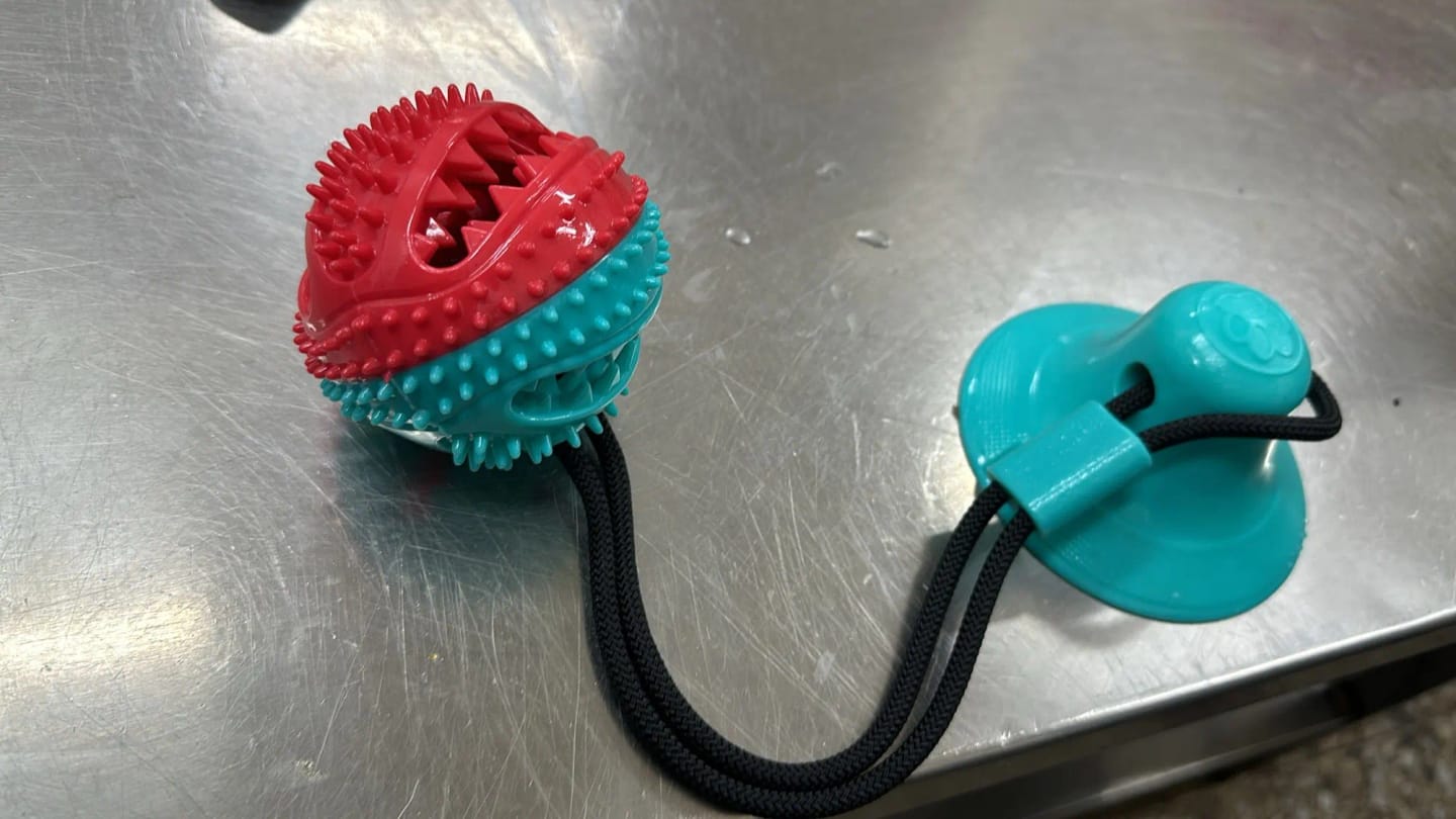 Customer photo review of Large Dog Ball Toys Suction Cup Ropes Interactive Leaking Slow Feeder Chew Toy Toothing Clean Golden Retriever Big Pet Supplies