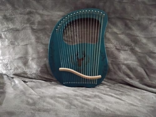 Customer photo review of Cega 19-String 16-String Deer Lyre Harp Resonance Box Instrument
