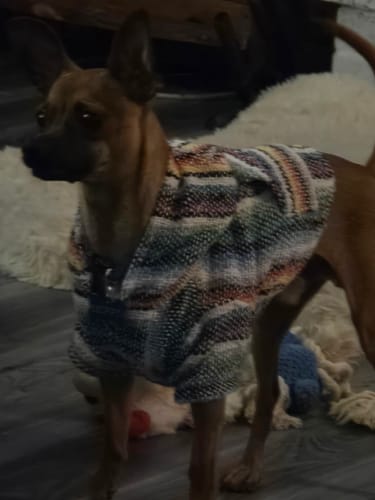 Customer photo review of Playa Poncho - Surprise Color