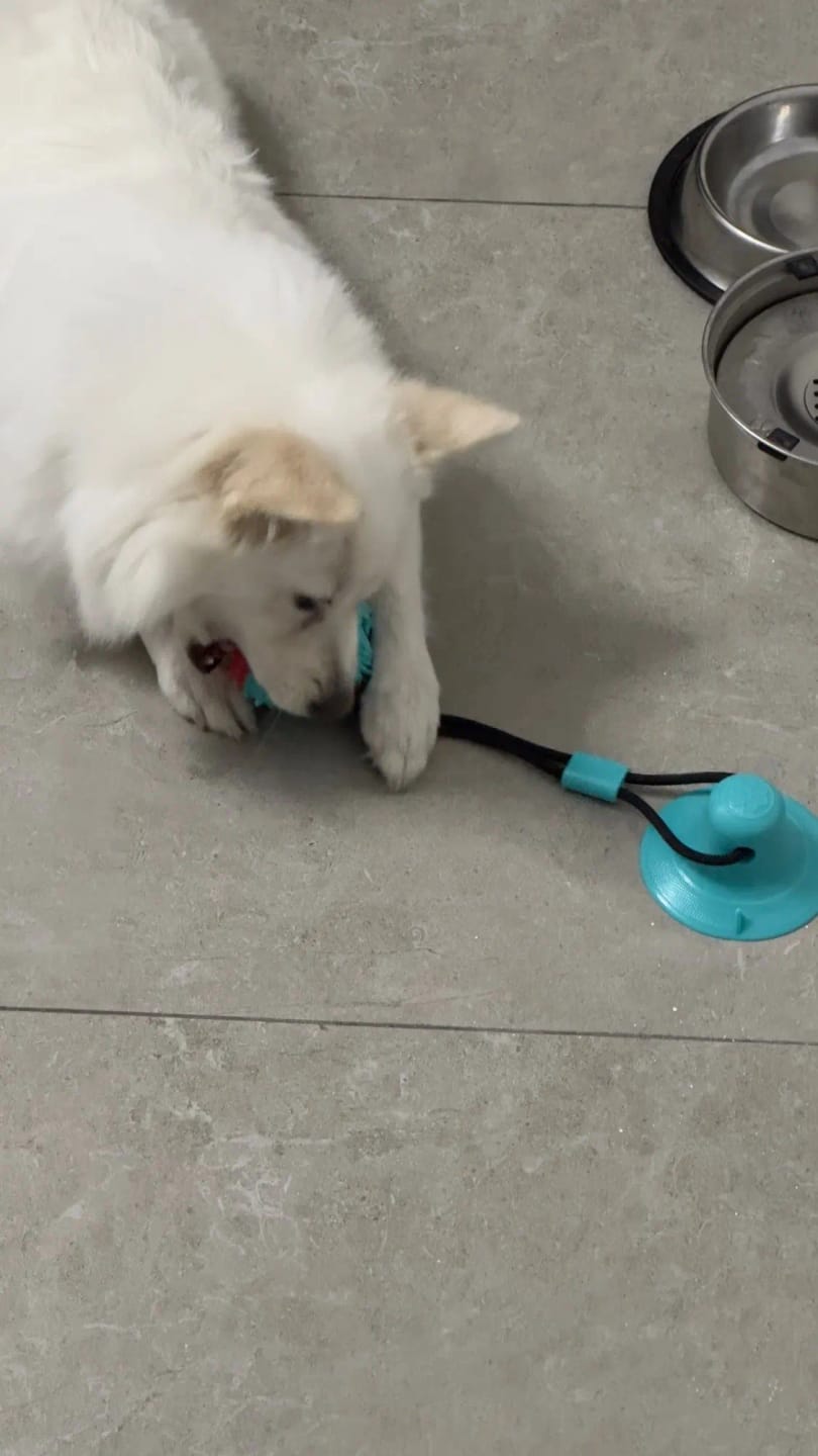 Customer photo review of Large Dog Ball Toys Suction Cup Ropes Interactive Leaking Slow Feeder Chew Toy Toothing Clean Golden Retriever Big Pet Supplies