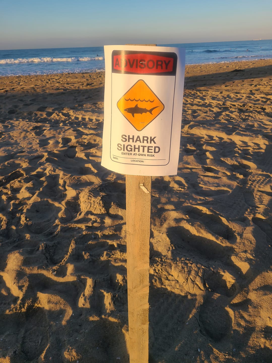 Customer photo review of FCS X Sharkbanz POD - Surf Shark Deterrent