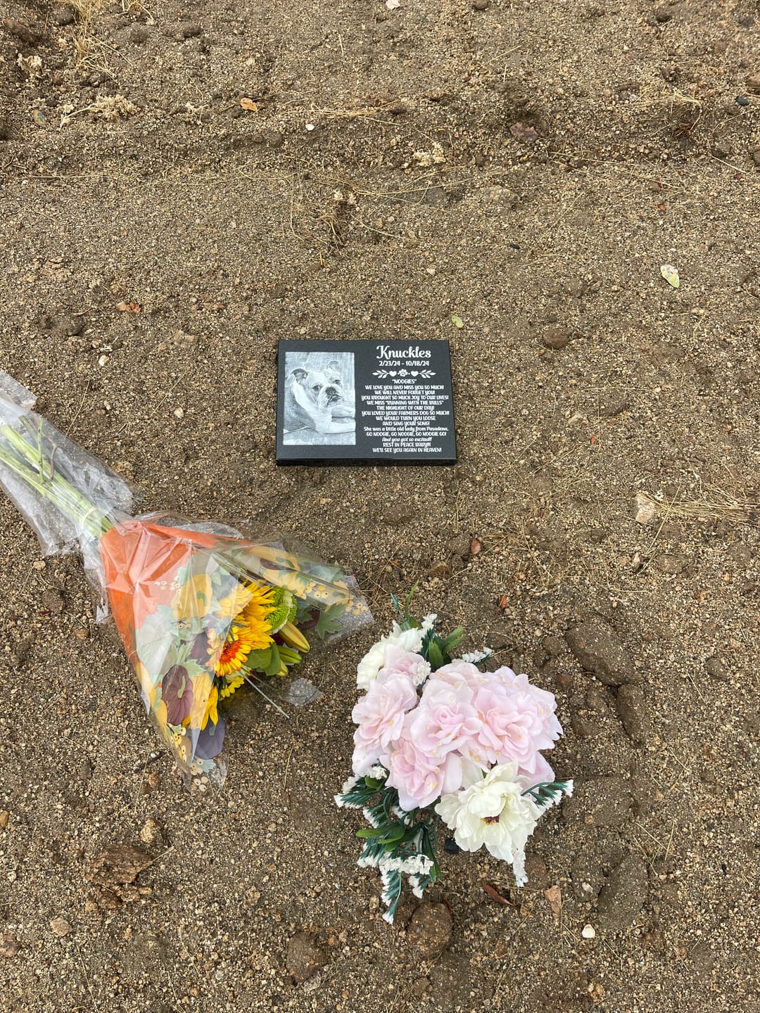 Customer photo review of Pet Grave Plaque Marble Marker, Pet headstones, Custom Outdoor Engraved Pet Stone In Loving Memory