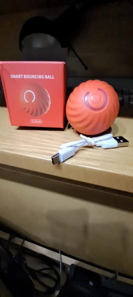 Customer photo review of Smart Dog Toy Ball Electronic Interactive Pet Toy Moving Ball USB Automatic Moving Bouncing for Puppy Birthday Gift Cat Products