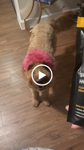 Customer video review of (15-Pack) SuperCharged Honey Packets