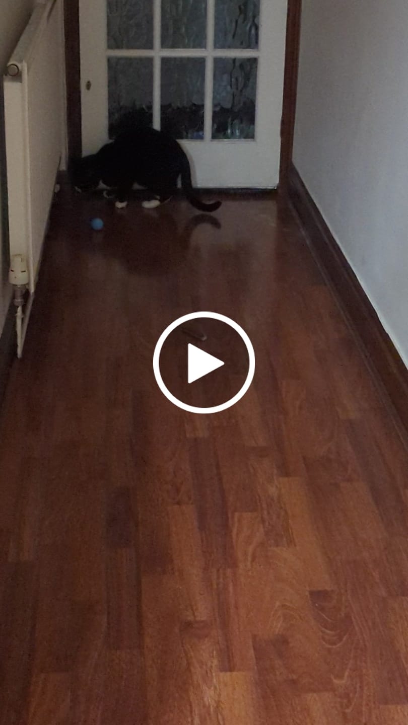Customer video review of POWER BALL 2.0