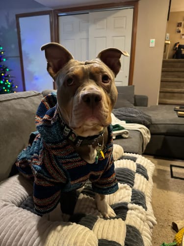 Customer photo review of Playa Poncho - Surprise Color