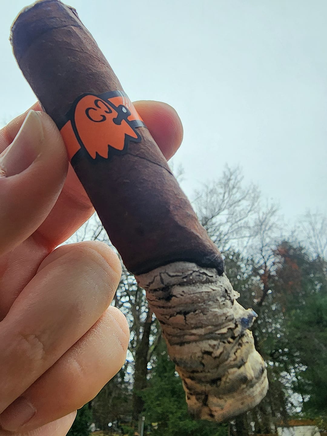 Customer photo review of The Mascot