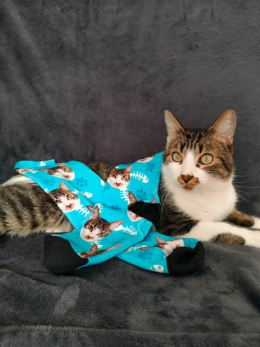 Customer photo review of Personalisierte Katzensocken