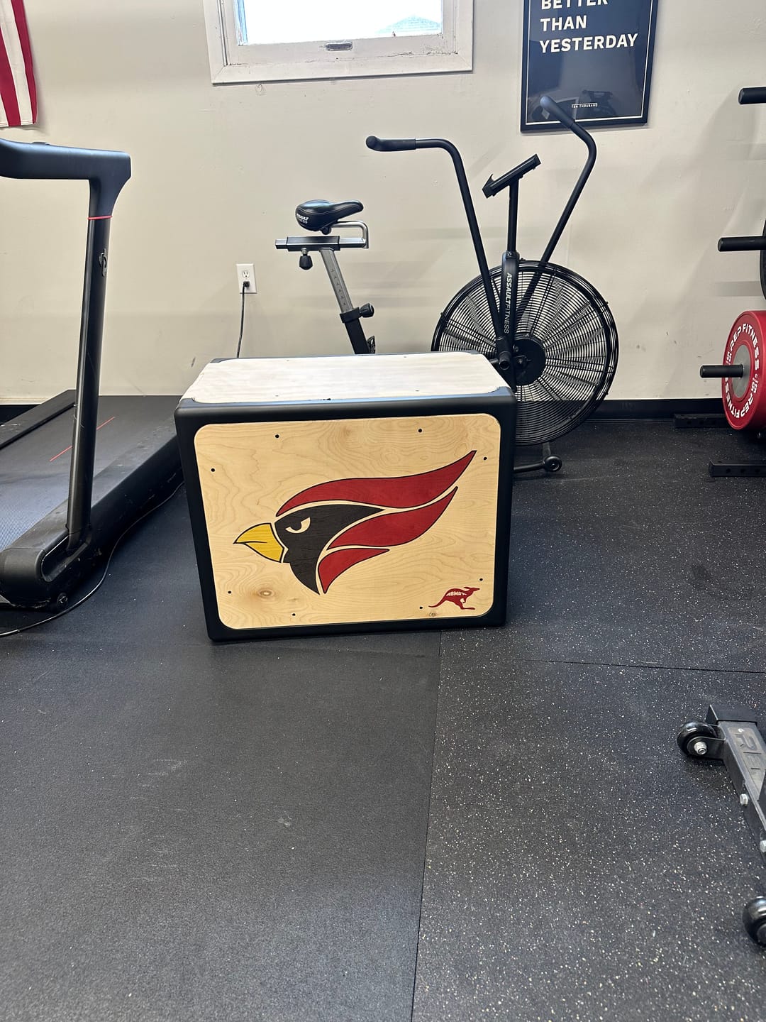Customer photo review of RooBox Custom