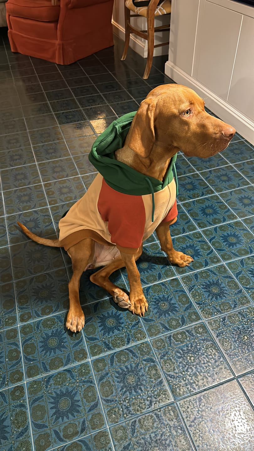 Customer photo review of Ranger Human Hoodie