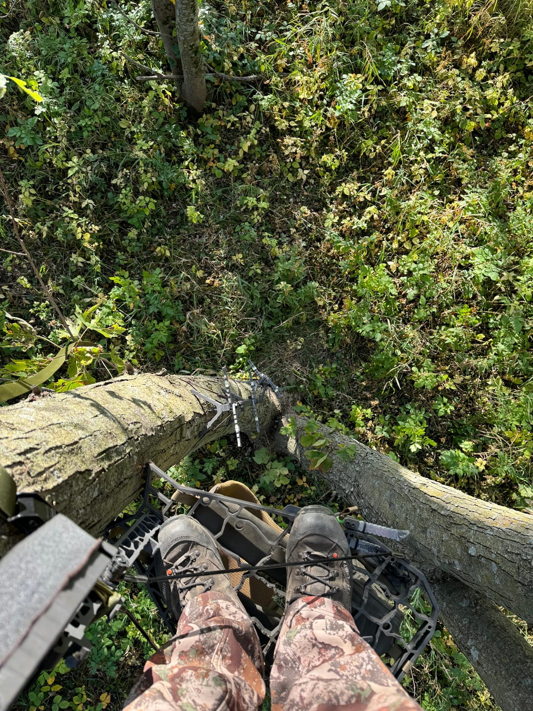 Customer photo review of Compact Double Climbing Sticks
