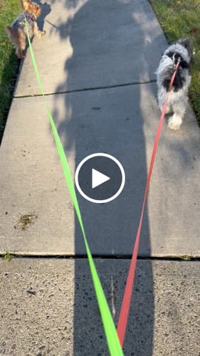 Customer video review of TangleFree