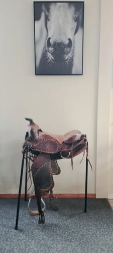 Customer photo review of Roma 3 Leg Saddle Stand