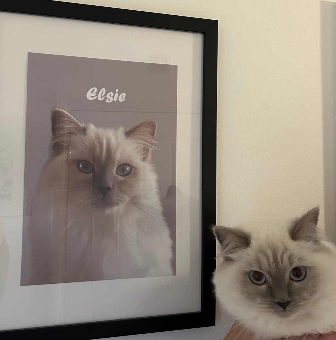 Customer photo review of Minimalist: Custom Pet Portrait