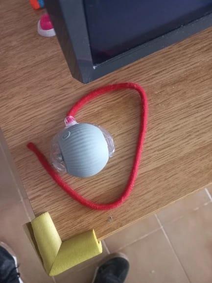 Customer photo review of Smart Dog Toy Ball Electronic Interactive Pet Toy Moving Ball USB Automatic Moving Bouncing for Puppy Birthday Gift Cat Products