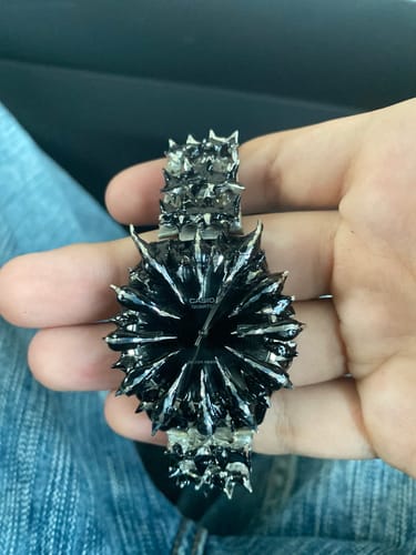 Customer photo review of Midnight Thorn