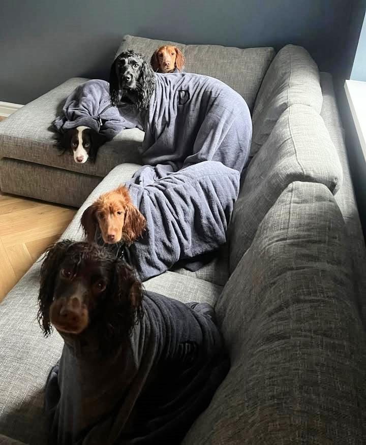Customer photo review of Luxury Dog Drying Bag