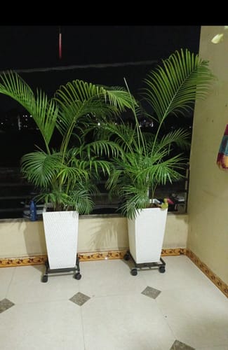 Customer photo review of United Crafts Rozy Wheel Pot Stands for Planters